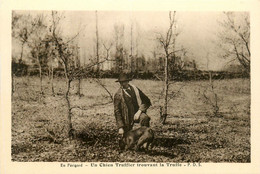 En Périgord * Un Chien Truffier Trouvant La Truffe * Folklore Local - Andere & Zonder Classificatie