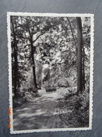 DONGELBERG  COLONIE ENFANTS DEBILES  LA PROMENADE - Jodoigne