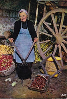 En LIMOUSIN Le Décortiquage De La Châtaigne Beau Pays Braves Gens - Artisanat