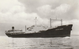 Chevron Arnhem - Tankers