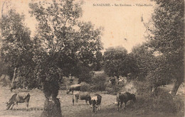 SAINT-NAZAIRE - Ses Environs - VILLES-MARTIN - N°10 G.I.D. Des Vaches - Saint Nazaire