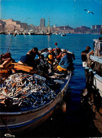 Marseille * Le Retour De Pêche Au Vieux Port * Pêcheurs - Joliette, Zona Portuaria