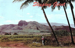 USA Hawaii, Sleeping Giant ... US232 Used - Kauai