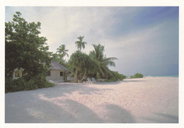 A20560 - MALDIVES VELAVARU ISLAND POST CARD USED 2000 STAMP MALDIVES ROSA MULTIFLORA SENT TO SWITZERLAND GENEVE - Maldivas