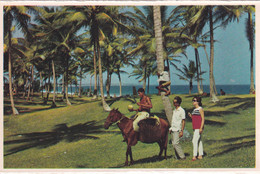 A20615 - SALVADOR ESTADO DA BAHIA BRASIL BRAZIL FAMOSOS COQUEIROS DO JARDIM DE ALLAH POST CARD UNUSED - Salvador De Bahia