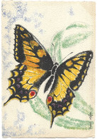 Les Papillons De France, MACHAON - BARRE DAYEZ, BARDAY, Illust. STEFAN - Papillons