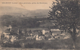 BELMONT (Loire): Vue Générale, Prise De Montaigu - Belmont De La Loire