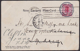 GIANT PETREL GULL NZ 1905 POSTCARD HUNTERVILLE H-CLASS & WELLINGTON MACHINE ROLLER POSTMARKS - Cartas & Documentos