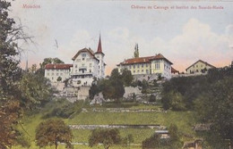 MOUDON                       CHATEAU DE CAROUGE ET INSTITUT DES SOURDS MUETS - Moudon