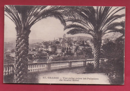 FRANCE CPA (1917) Grasse - Palmiers Du Grand Hôtel - (Alpes Maritimes) (06J) - Grasse