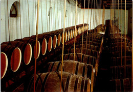 (3 L 61)  (M+S) Distillerie De Chartreuse In Tarragona (barel - Tonneaux) - Vignes