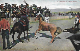 Etats-Unis - CPA - Rodéo - Dressage Chevaux - Spectacle -cow-boy - Lasso - Wild Horse - - Sonstige & Ohne Zuordnung