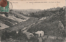 72 - Carte Postale  De SAINT LEONARD DES BOIS   La Vallée De Misère   Vue Aérienne - Saint Leonard Des Bois