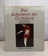 Das Geheimnis Der Orchideen. - Lessico