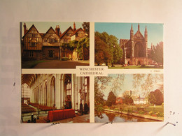 Winchester Cathédral - Vues Diverses - Winchester