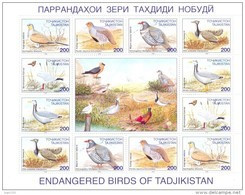 1996. Tajikistan, Birds,sheetlet, Mint/** - Tajikistan