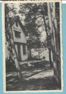 Bel-Geel-+/-1940-Malpertuus-Het Vacantiehuis-Uitg.Nels-Foto F.Cuyvers - Geel