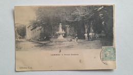 CPA - 13 - LAMBESC - Avenue Gambetta - Lambesc