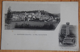 Delcampe - 21 : Montbard - La Ville Vue De La Prairie & Le Monument Junot D'Abrantès - Dos Simple - (n°24636) - Montbard
