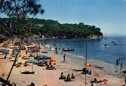 PIE-Th.Mu-22-8541 : LE CANADEL. LA PLAGE DE LATTRE DE TASSIGNY - Rayol-Canadel-sur-Mer