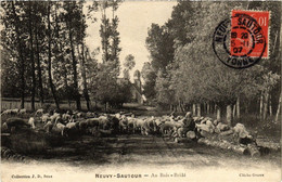 CPA NEUVY-SAUTOUR - Au Bois - Brule (358417) - Neuvy Sautour