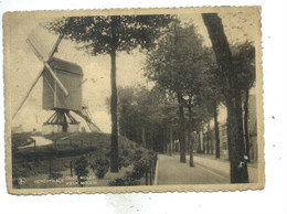 Herentals Herenthals Oude Molen Vieux Moulin - Herentals