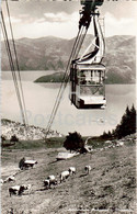 Schwebebahn Beckenried - Klewenalp - Cable Car - 8958 - Old Postcard - 1953 - Switzerland - Used - Beckenried