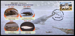 INDIA 2022 Red Crowned Turtle ,Gengetic Dolphin, Gharial Crocodile ,Chital Fish -Aquatic Animals Cover (**) Inde Indien - Lettres & Documents