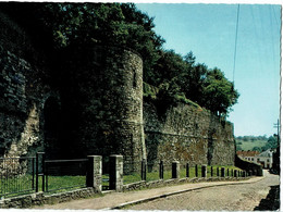 Binche   Les Remparts - Binche