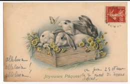 CPA PÂQUES - Joyeuses Pâques - Lapins Et Papillon M.M. VIENNE M. MUNK N°576 - Easter