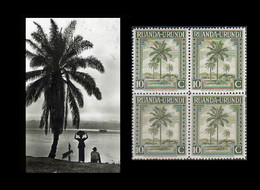 1942 ** RUANDA-URUNDI = RU 127 MNH OLIVE PALM TREES / PHOTO CARD (12.8 X 9.3 Mm) WITH BLOCK OF 4 MNH STAMPS - Ruanda- Urundi