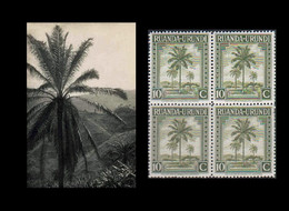 1942 ** RUANDA-URUNDI = RU 127 MNH OLIVE PALM TREES / PHOTO CARD [B] (12.8 X 9.3 Mm) WITH BLOCK OF 4 MNH STAMPS - Ruanda Urundi