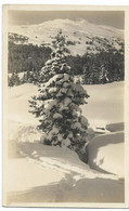 Auf Der LENZERHEIDE: Winterlandschaft ~1930 - Lantsch/Lenz