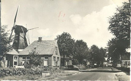 Norg  (met Molen) - Norg