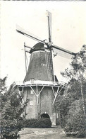 Gieten, Molen "Hazewind" - Gieten