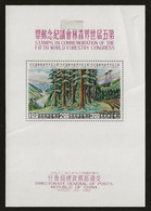 Taiwan 1960 N°Y.T. :  BL. 8 (forte Charnière Et Pliure) * - Blocks & Sheetlets