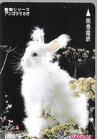 CARTE-MAGNETIQUE-JAPON-LAPIN-TBE- - Conejos