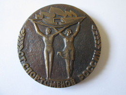 Russia Medal:The Committee For Physical Culture And Sports Within The Council Of Ministers From Soviet Russia 80s - Russie