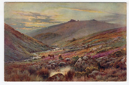 DARTMOOR - Whiston's Wood And Crockern Tor - A De Breanski - Tuck Oilette 4018 - Dartmoor