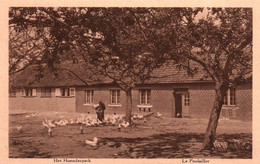 Westmalle (Cisterciënzer Abdij) - Het Hoenderpark - Malle