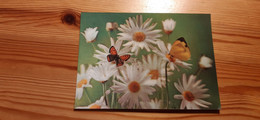 Postcard - Lenticular, 3D, Butterfly - Papillons