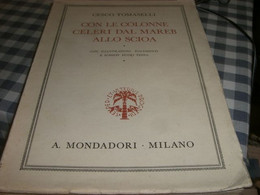 LIBRO CON LE COLONNE CELERI DAL MAREB ALLO SCIOA -CESCO TOMASELLI - Société, Politique, économie