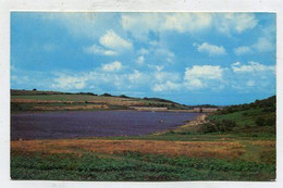 AK 087618 ENGLAND - Dartmoor - Fernworthy Reservoir - Dartmoor