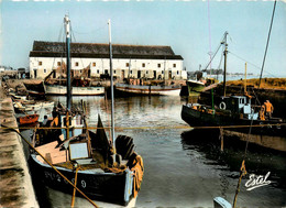 Le Croisic * Vue Sur Le Port Et La Criée * Bateaux Pêche - Le Croisic