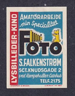 Denmark  Poster Stamp Vignette Photography Photographie  CAMERA PHOTO FILM DOG - Erinnophilie