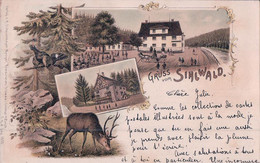 Gruss Vom Sihlwald ZH, Litho 3 Vues (15.5.1898) - Wald