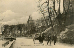 Châteaubriant * Route Au Pied Du Château , Côté De L'étang * Attelage - Châteaubriant