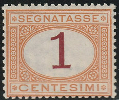 Segnatasse I^ Em. 1870-74 1 C. Sass 3 MNH** F. Vaccari Cv 90 - Taxe