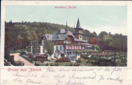 Gruss Aus Zürich, Waldhaus Dolder (15.7.1901) - Wald