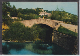 VAR - Salernes - Le Vieux Pont Romain Et Le Château Féodal - Salernes